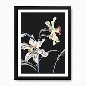 Neon Flowers On Black Daffodil 2 Art Print