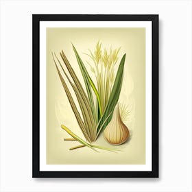 Lemongrass Spices And Herbs Retro Drawing 2 Art Print