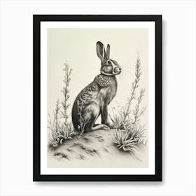 Belgian Hare Drawing 2 Art Print