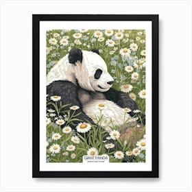 Giant Panda Resting In A Field Of Daisies Poster 1 Art Print