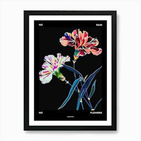 No Rain No Flowers Poster Carnation Dianthus 1 Art Print