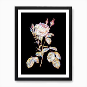Stained Glass Double Moss Rose Mosaic Botanical Illustration on Black n.0286 Art Print