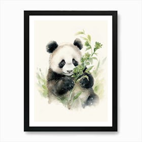 Panda Art Drawing Watercolour 1 Art Print