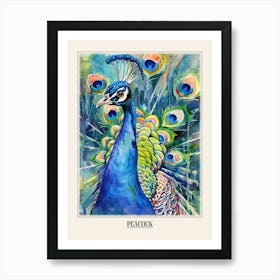 Peacock Colourful Watercolour 1 Poster Art Print