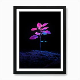 Plant In The Dark 9 Art Print