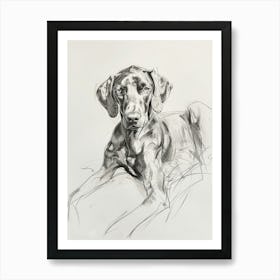 Vizsla Dog Charcoal Line 2 Art Print