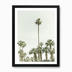 Vintage Palm Trees At The Beach Art Print