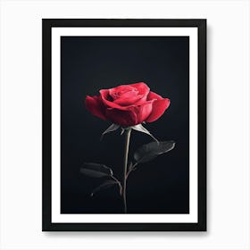 Single Red Rose On Black Background 31 Art Print