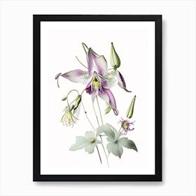 Columbine Floral Quentin Blake Inspired Illustration 1 Flower Art Print