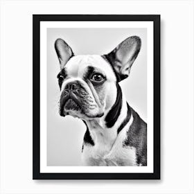 French Bulldog B&W Pencil Dog Art Print