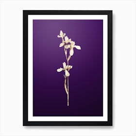 Gold Botanical Siberian Iris on Royal Purple n.2359 Art Print