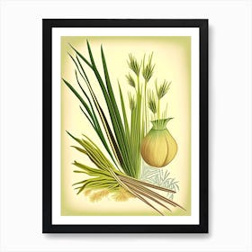 Lemongrass Spices And Herbs Retro Drawing 1 Art Print