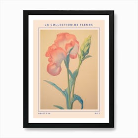 Sweet Pea 2 French Flower Botanical Poster Art Print