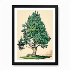 Cypress Tree Storybook Illustration 1 Art Print