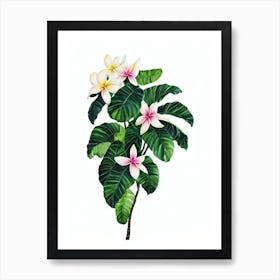 Plumeria Care (Plumeria Rubra) Watercolor Art Print