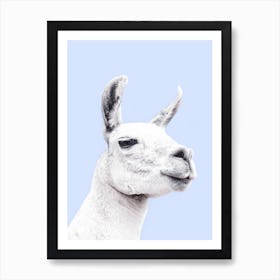 Blue Llama II Art Print