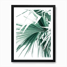 Palm Tree Leaves II Art Print