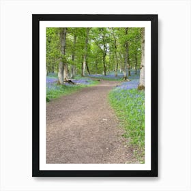 Bluebells In The Woods Art Print