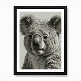 Koala Bear 6 Art Print