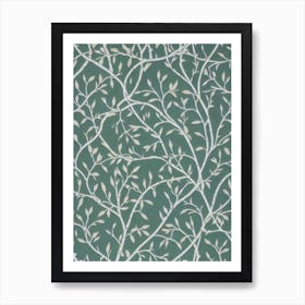 Birch tree Vintage 2 Botanical Art Print