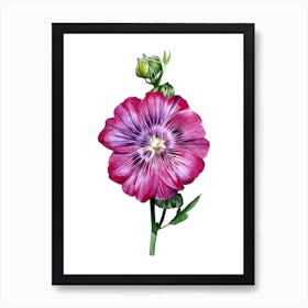 Hollyhock Art Print