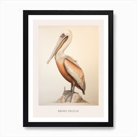 Vintage Bird Drawing Brown Pelican 3 Poster Art Print