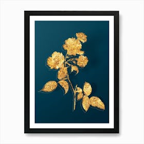 Vintage Red Cabbage Rose in Bloom Botanical in Gold on Teal Blue n.0044 Art Print