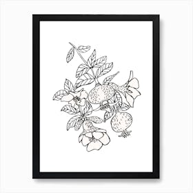 Pomegranate Branch Art Print