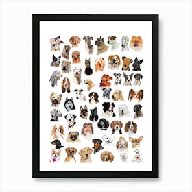 Many Dogs Art Print