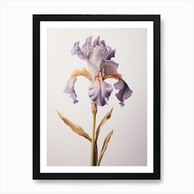 Pressed Wildflower Botanical Art Iris 3 Art Print