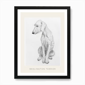 Bedlington Terrier Dog Line Sketch 2 Poster Art Print