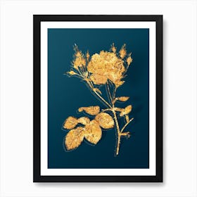 Vintage Pink Cumberland Rose Botanical in Gold on Teal Blue n.0035 Art Print