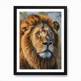 Barbary Lion Portrait Close Up 5 Art Print