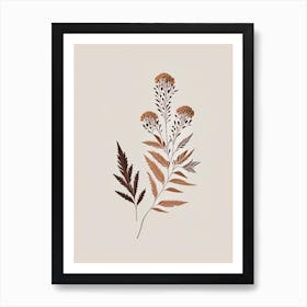 Boneset Spices And Herbs Retro Minimal 3 Art Print