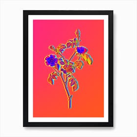 Neon Pink Austrian Copper Rose Botanical in Hot Pink and Electric Blue Art Print