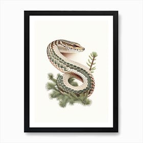 Pine Snake 1 Vintage Art Print