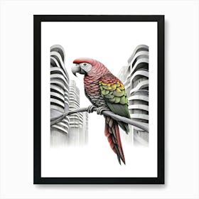 Scooter Parrot In The City Art Print