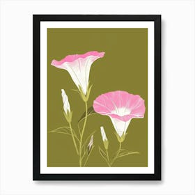 Pink & Green Morning Glory 1 Art Print