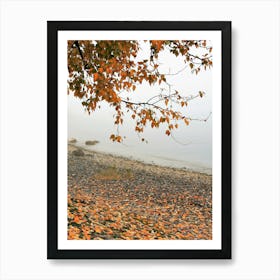 Autumn Leaves On The Beach Art Print