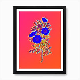 Neon White Burnet Roses Botanical in Hot Pink and Electric Blue n.0494 Art Print