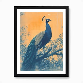 Vintage Orange & Blue Peacock In The Wild 5 Art Print