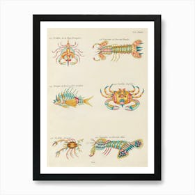 Colourful And Surreal Illustrations Of Crabs And Lobster Found In Moluccas (Indonesia) And The East Indies, Louis Renard(6) Art Print