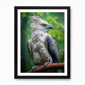 Eagle Eye View: Harpy Eagle Poster Art Print