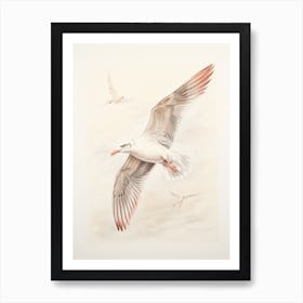 Vintage Bird Drawing Seagull 3 Art Print