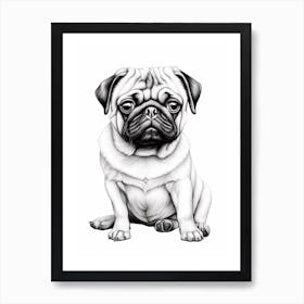 Pug Dog, Line Drawing 1 Art Print