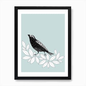 Songbird Spruce Art Print