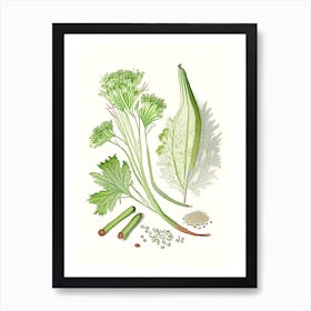 Celery Seed Spices And Herbs Pencil Illustration 3 Art Print