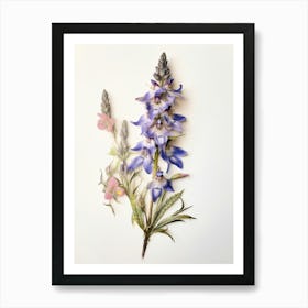 Pressed Flower Botanical Art Veronica Flower 3 Art Print