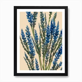 Acropora Hyacinthus Vintage Graphic Watercolour Póster