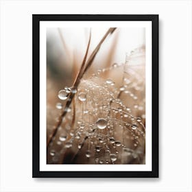 Rain Drops Art Print
